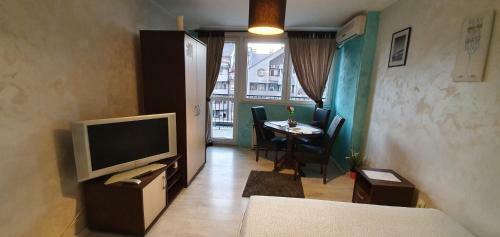 Downtown Apartment