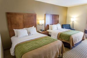 Hotel Comfort Inn Hammond