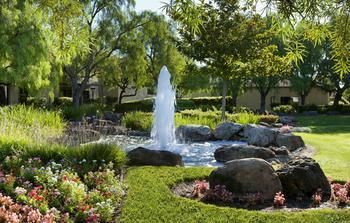 Hotel Four Points By Sheraton - Pleasanton