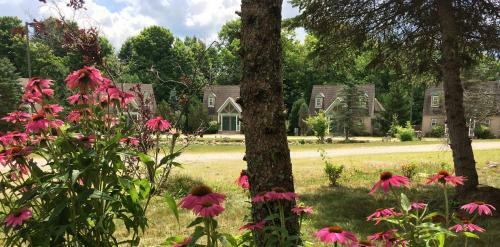 Posada Spruce Hill Inn & Cottages