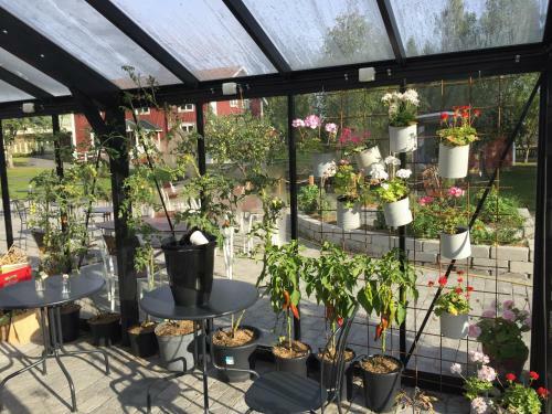 Albergue Edelviks Hotell & Vandrarhem