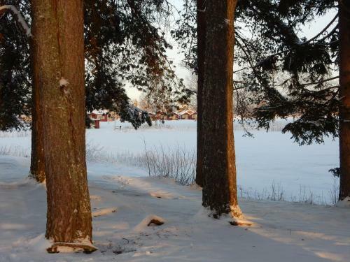 Burtr�sk Camping Och Stugby