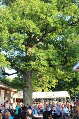 Eksj� Camping & Konferens