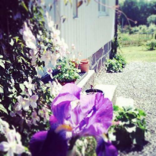 Bed & Breakfast Elisetorp