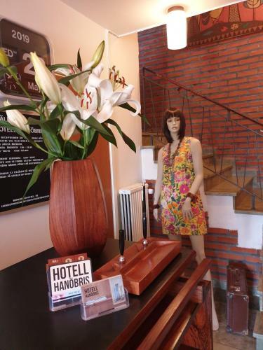 Hotell Han�bris P� Kivik