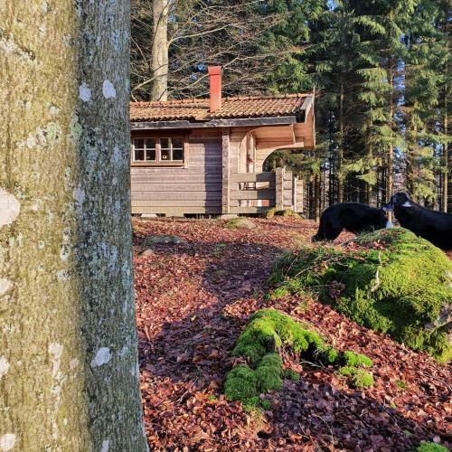 Lodge Bokebacken