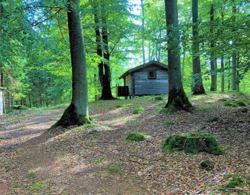 Lodge Bokebacken