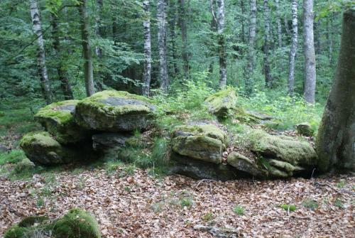 Lodge Bokebacken