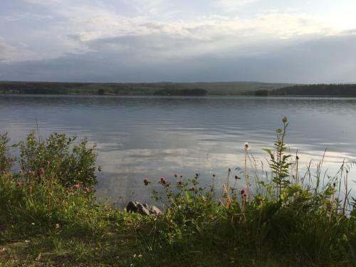 Apartamento Bo P� Lanthandel