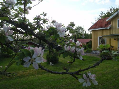 Stf Lugn�sberget Hostel