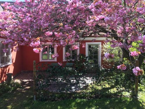 �stang�rd Bed & Breakfast