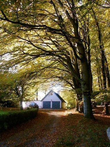 Trolleberg Bed & Breakfast