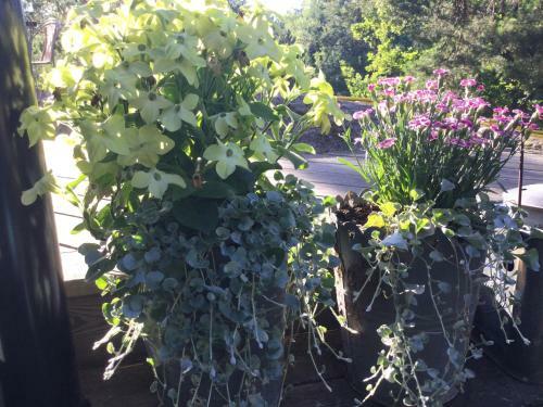 Lillstuga Str�mma