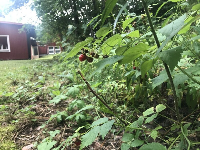 Hotel Klackbergsg�rden