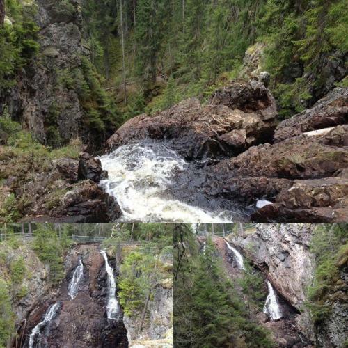 Bushcraftevents Stuga
