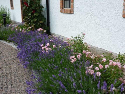 Bed & Breakfast Linda G�rd
