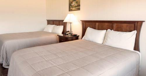 Copley Lareine Motel