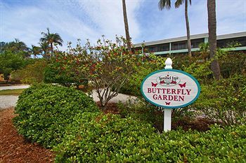 Hotel Sanibel Inn