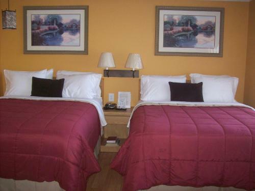 Columbine Motel