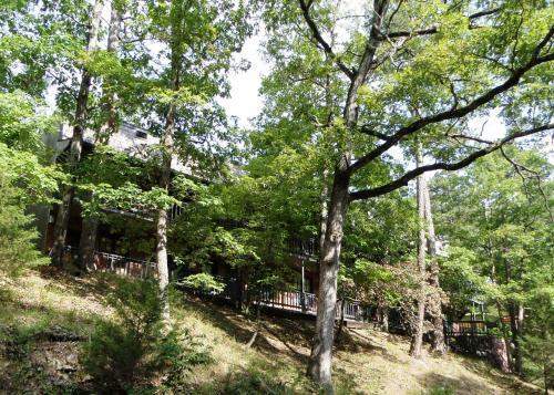 Motel Bella Paradiso Vacation Rentals