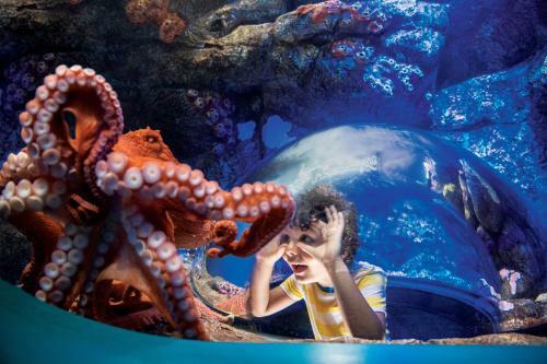 Hotel Holiday Inn Express San Diego Seaworld