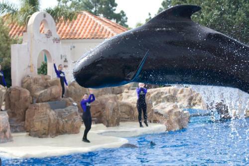 Hotel Holiday Inn Express San Diego Seaworld