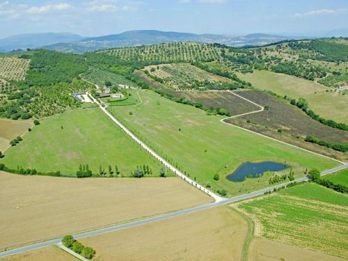 Agello Magione - Gelso