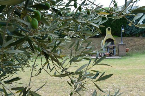 Agroturismo Casale Montemoro