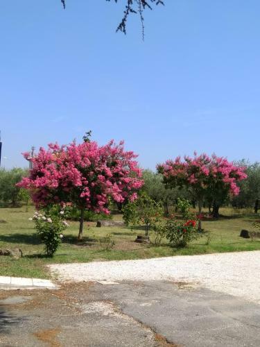 Casa Vacanze Le Rose