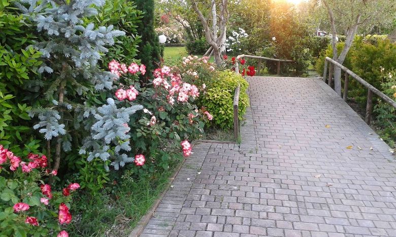 Agroturismo Fattoria Belvedere