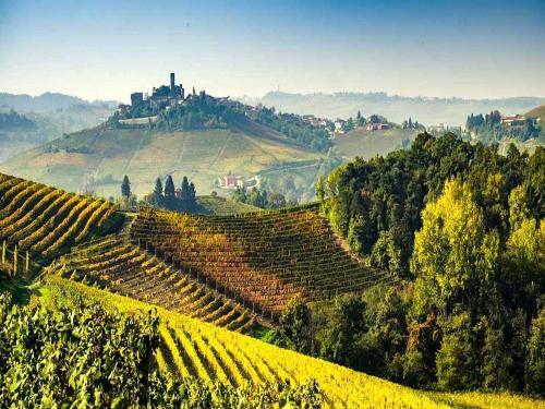 Spacious Apartment In Belvedere Langhe With Terrace