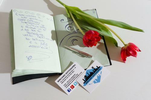 Bed & Breakfast Bergamo Sottosopra