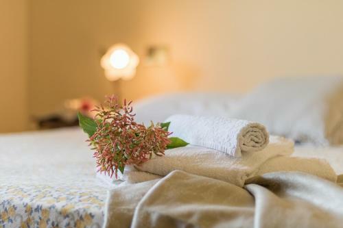 Apartamento Agriturismo Poderaccio