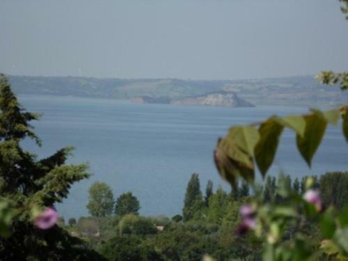 La Ripetta