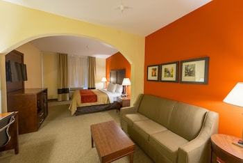 Hotel Comfort Inn & Suites Villa Rica