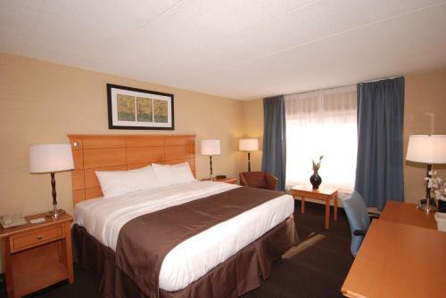 Hotel Best Western Plus Danbury/bethel