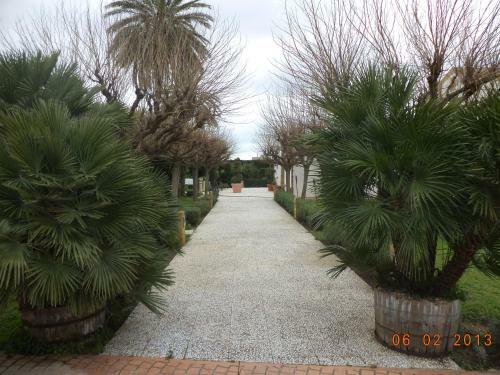 Hotel Villa Palocla