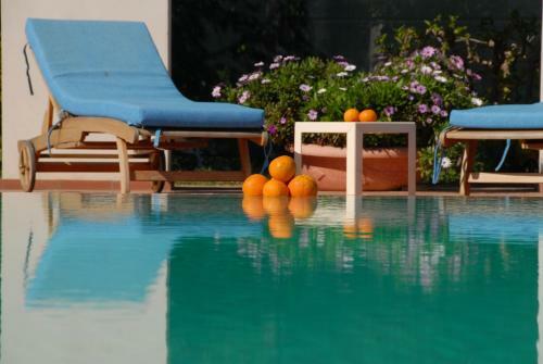 Hotel Villa Palocla