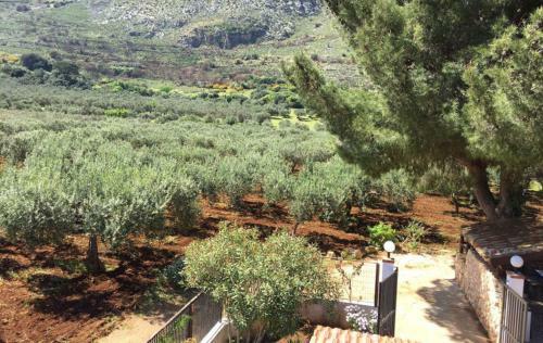 Zahra Casa Vacanze