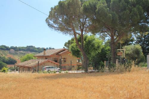 B&B Il Cavallino