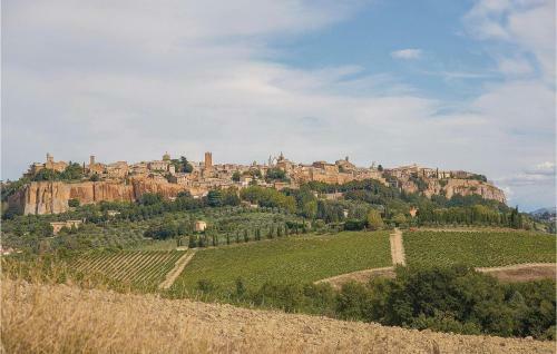 Il Casettone Di Torreventurini