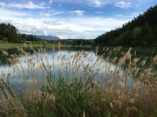 Pineta Natural Chalet