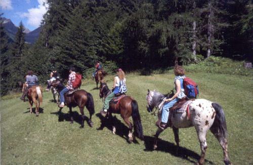 Pineta Natural Chalet