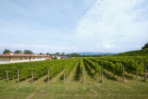 Bed & Breakfast Alloggio Agrituristico Corte San Biagio