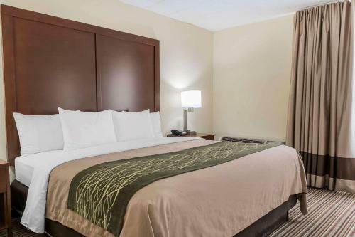 Hotel Comfort Inn - Pocono Mountain