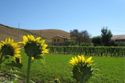 Fattoria Spedaletto Apartment Sleeps 5 Pool Wifi