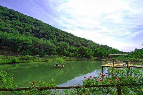 Figline Valdarno Apartment Sleeps 5