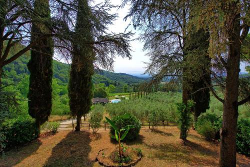 Figline Valdarno Apartment Sleeps 6 T241296
