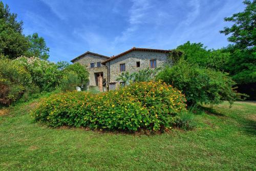 Figline Valdarno Apartment Sleeps 6 T241296