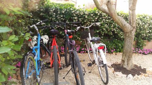 B&B L'ulivo Fiumicino